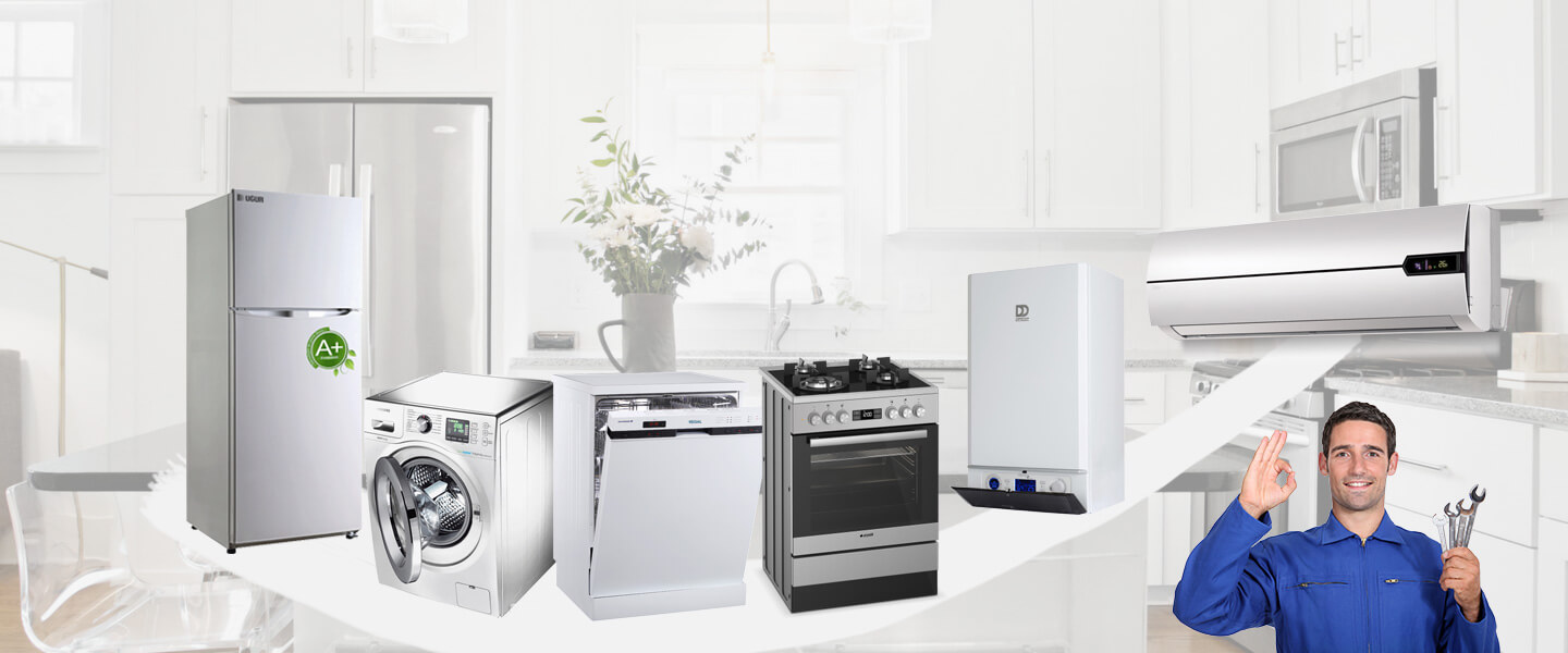 Villakent Smeg Servisi